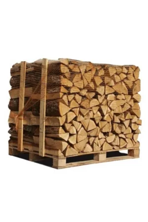 Tori di quercia bianca – 50 cm (2 esteri)